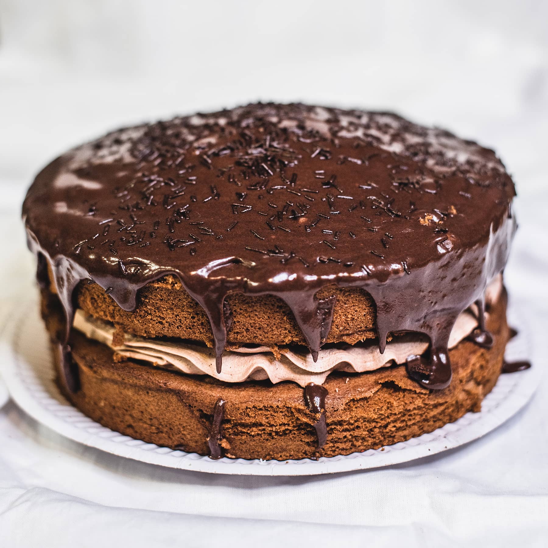 Chocolate Drizzle Cake Chocolate Drizzle Cake